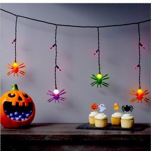 Halloween Spider lights.